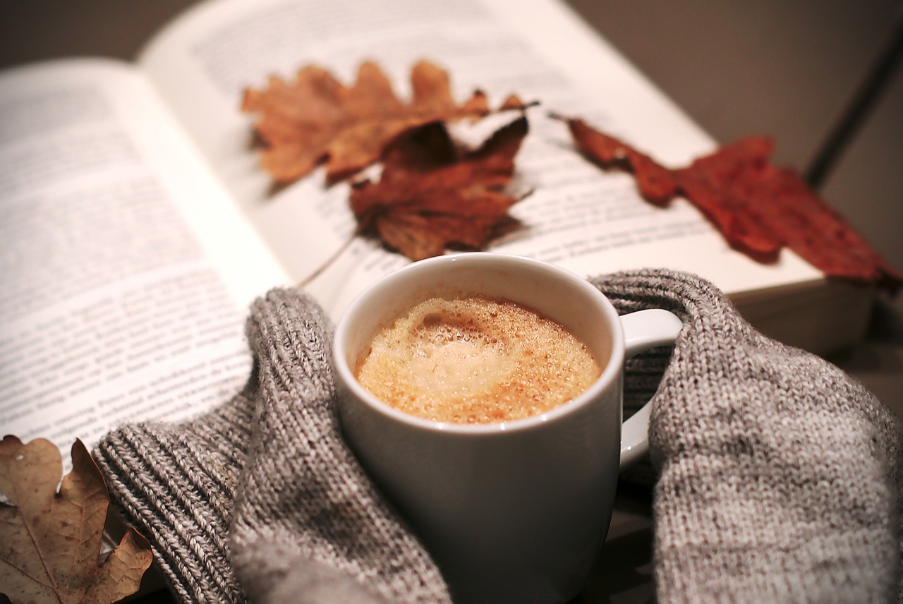 pixabay-image-3025022